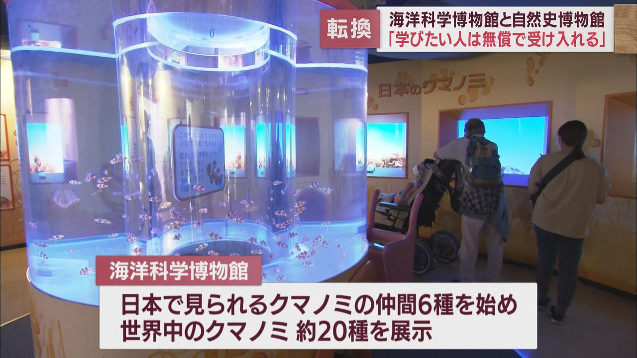 画像: 市民に親しまれて半世紀~「海洋科学博物館」「自然史博物館」の有料入館終了へ 背景に施設の老朽化 静岡市清水区
