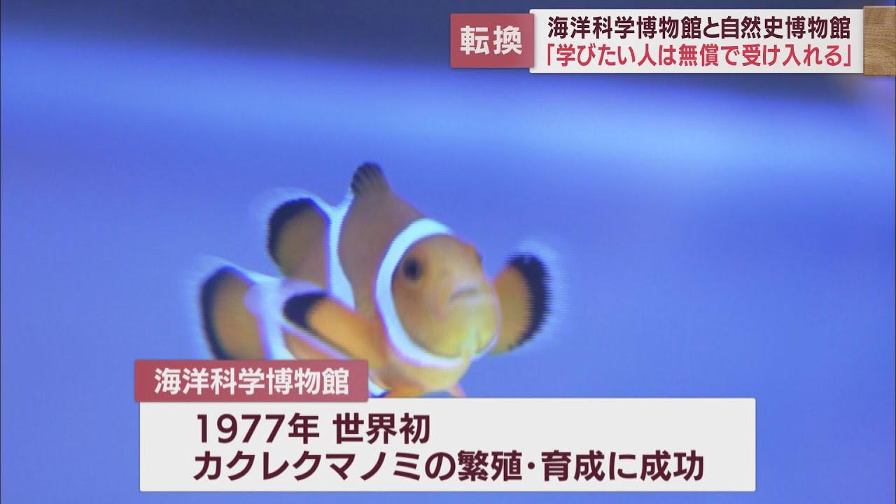 画像: 市民に親しまれて半世紀~「海洋科学博物館」「自然史博物館」の有料入館終了へ 背景に施設の老朽化 静岡市清水区 youtu.be