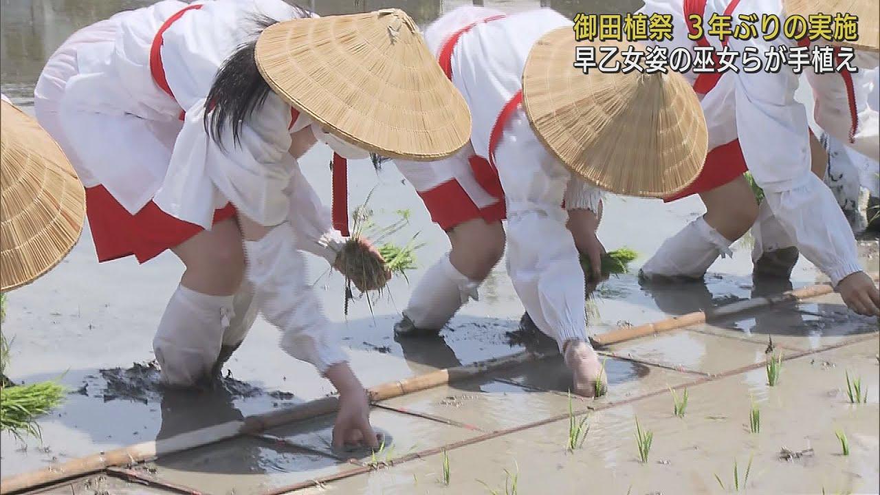 画像: 早乙女姿の巫女が田植え 豊作を祈願する神事「御田植祭」 コロナ影響で3年ぶりの開催 静岡浅間神社 youtu.be