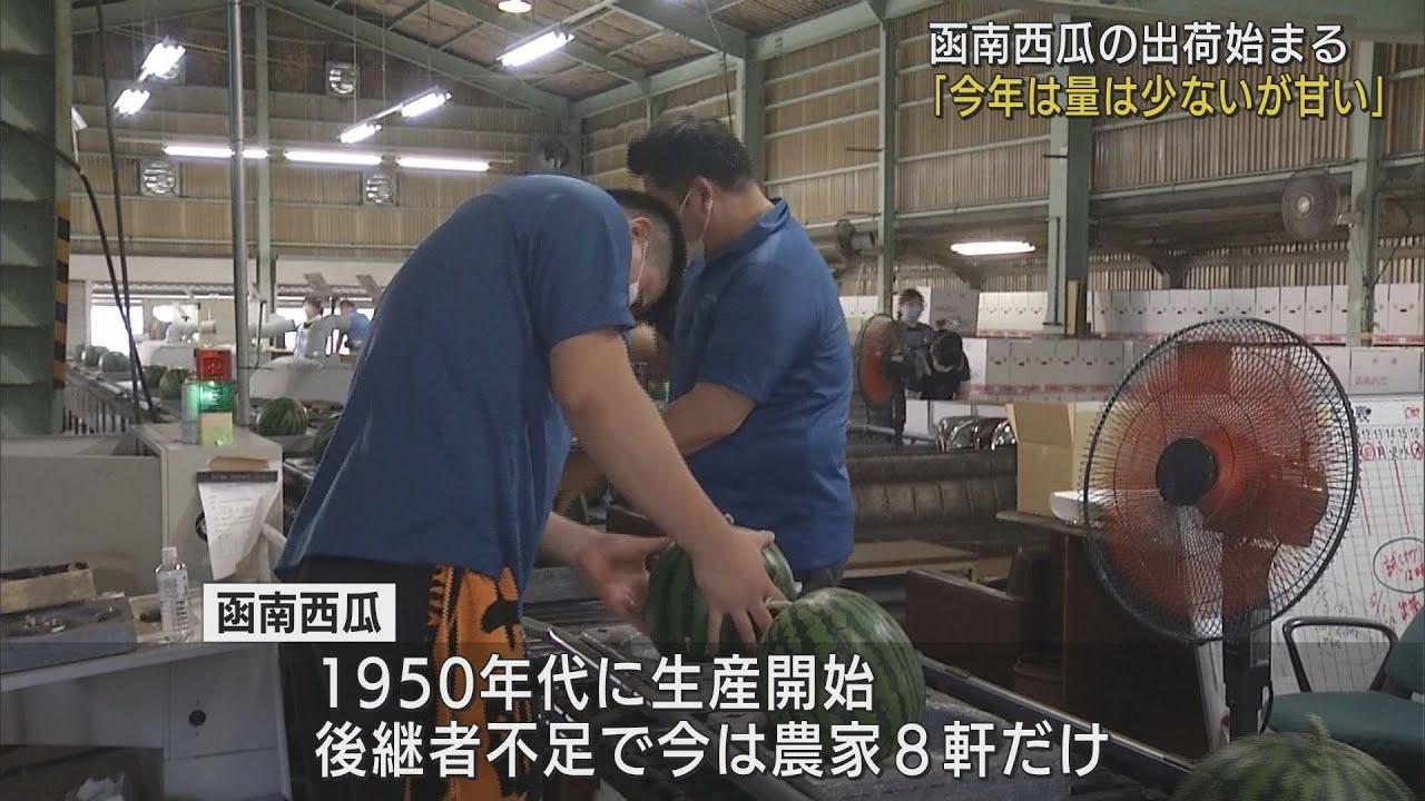 画像: 「函南すいか」出荷始まる 「量は若干減ったが、甘い」 静岡・函南町 youtu.be