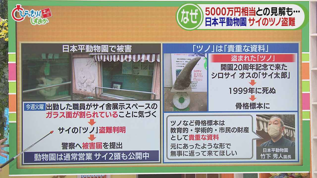 画像2: なぜツノだけが…
