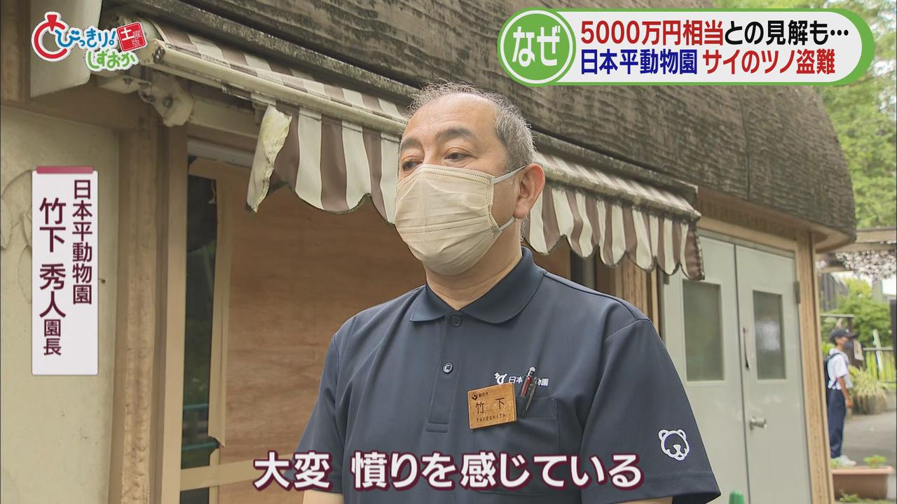 画像1: なぜツノだけが…