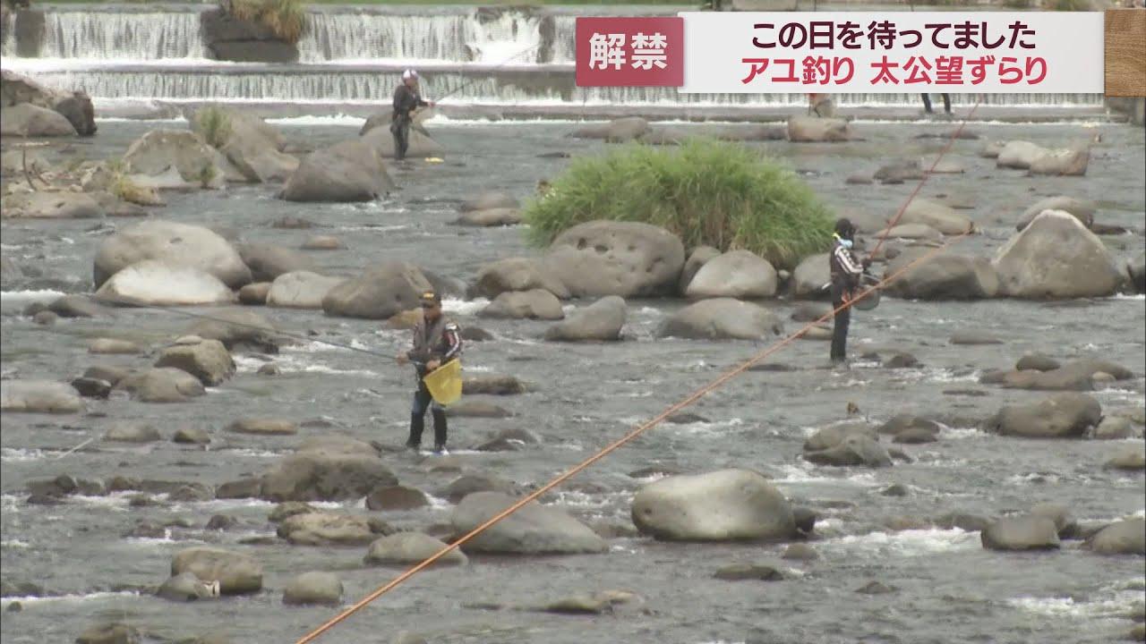 画像: 静岡・河津町の河津川でアユ釣り解禁 太公望が竿の列 youtu.be