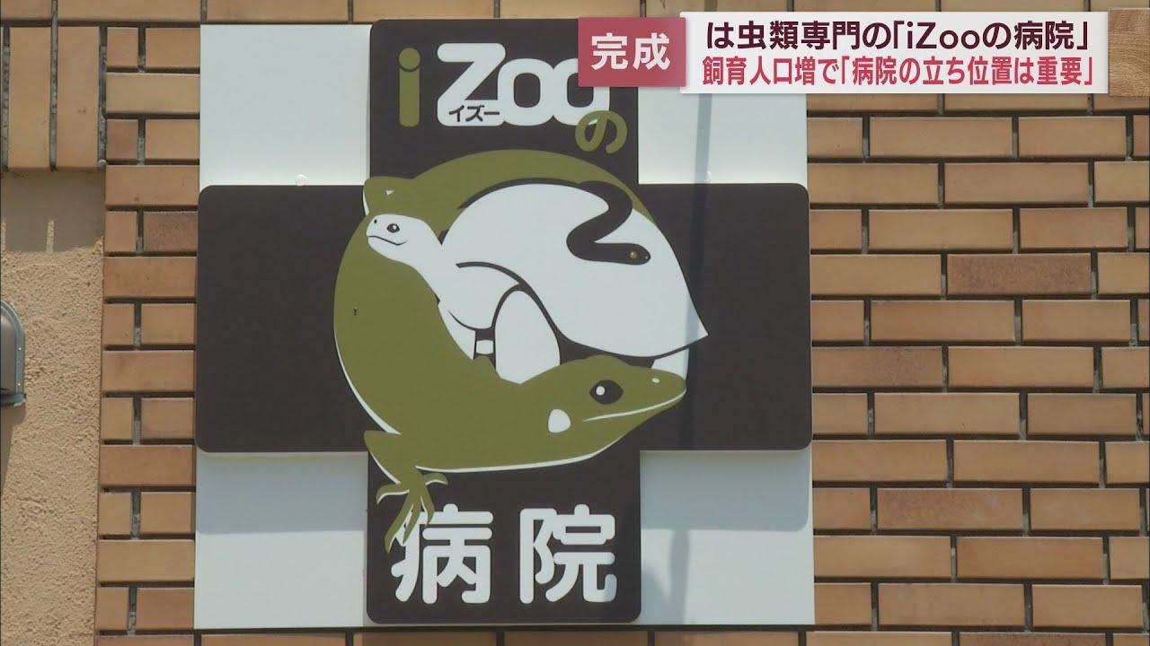 画像: 静岡県初…は虫類専門の動物病院　河津町の「イズー」敷地内にあす開院　エックス線やエコー検査機、手術用の機器などがそろう youtu.be