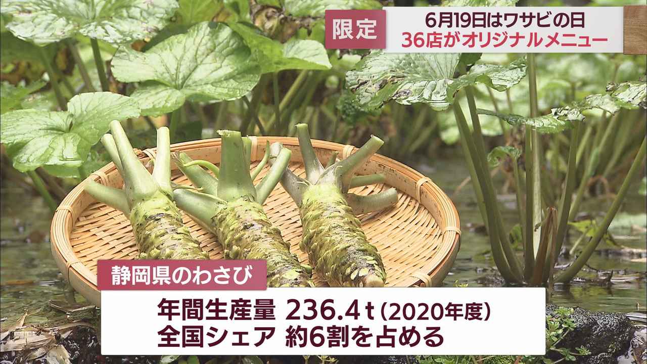 画像: コロナ禍でワサビ業界も大打撃