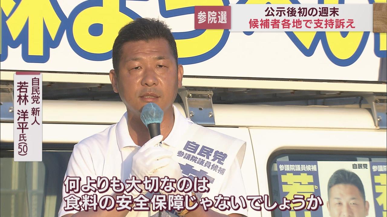 画像: 若林洋平氏