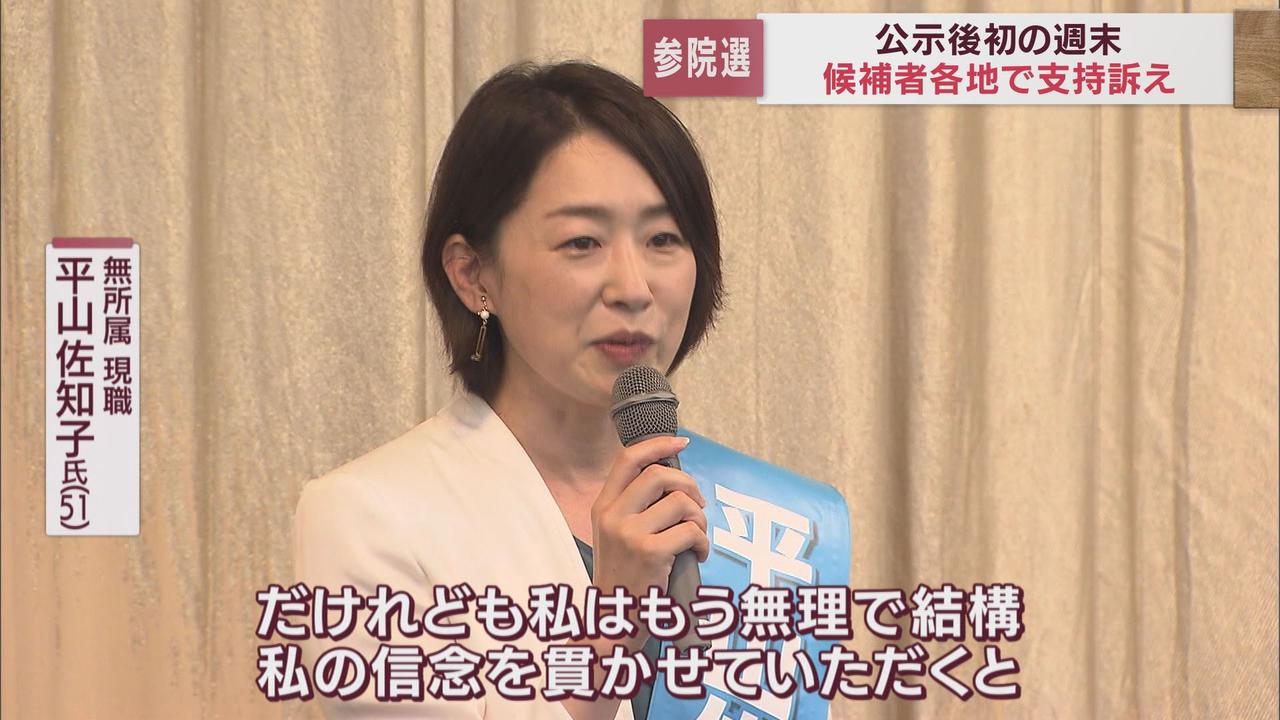 画像: 平山佐知子氏