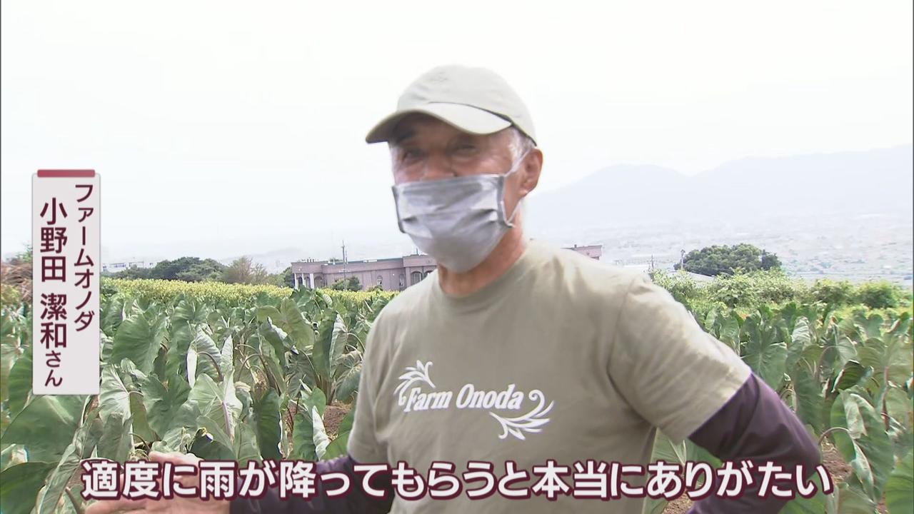 画像1: 農園、企業、役所…困惑する現場
