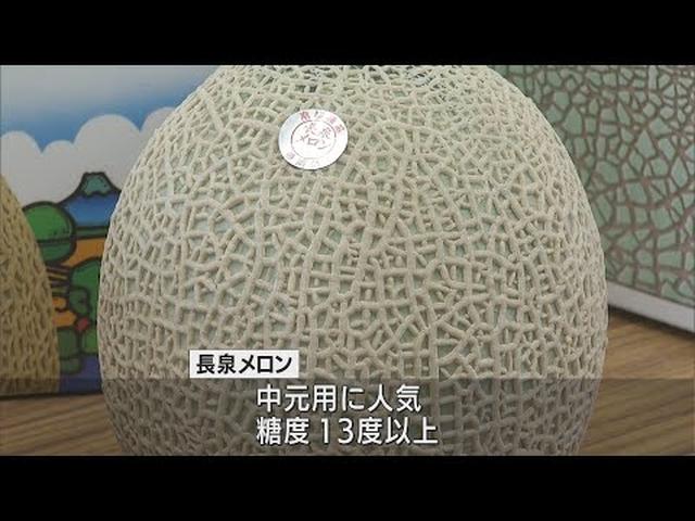 画像: 『幻のメロン』出荷の最盛期迎える　生産者「天候がよくおいしいメロンができた」 youtu.be