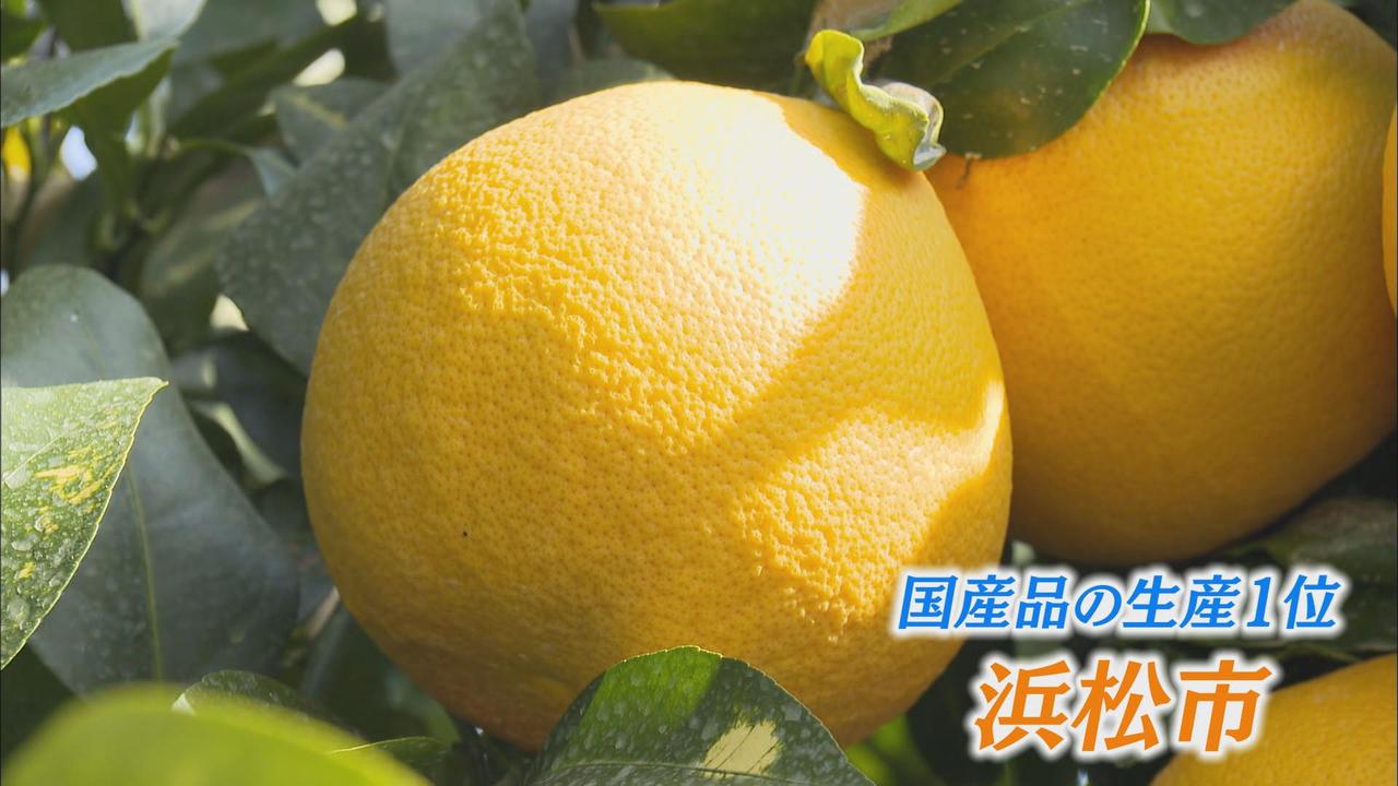 画像2: 浜松産だけを使った国産100%のグレープフルーツジュース