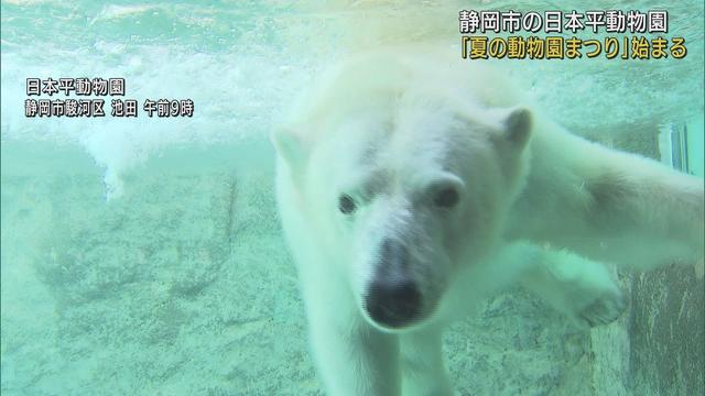 画像: 3年ぶりに「動物園まつり」 餌やり体験やホッキョクグマの食事の観察など 静岡市 日本平動物園 youtu.be