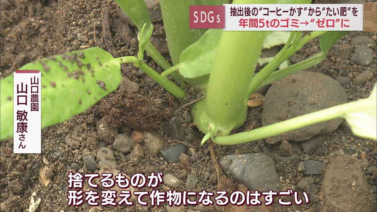 画像: 「すごいじゃんね」コーヒーからのたい肥は農園でも好評