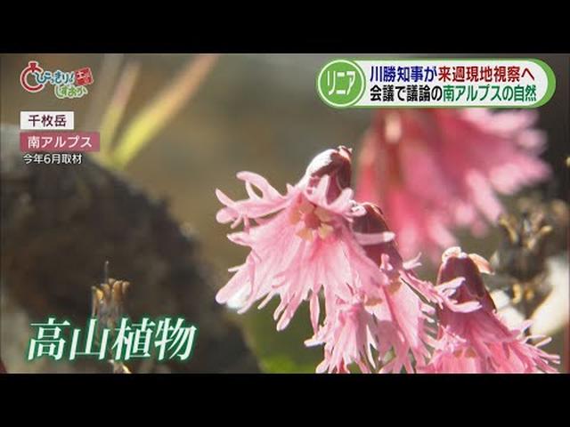 画像: 【リニア】生態系への影響など「環境」議論も本格化　川勝知事も現地視察へ「注目点は３つ」　/今週の静岡 youtu.be