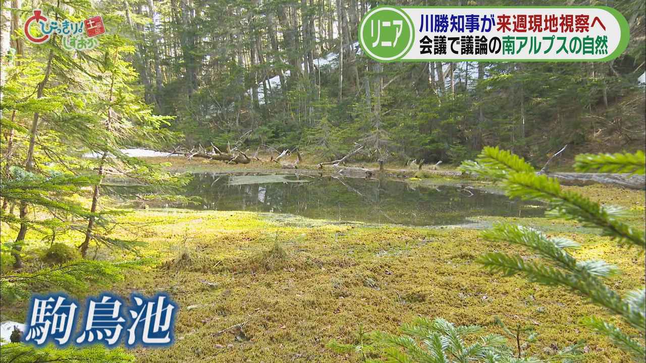 画像1: 南アルプスに広がる自然