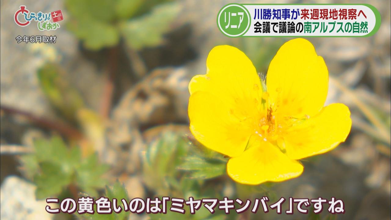 画像2: 南アルプスに広がる自然