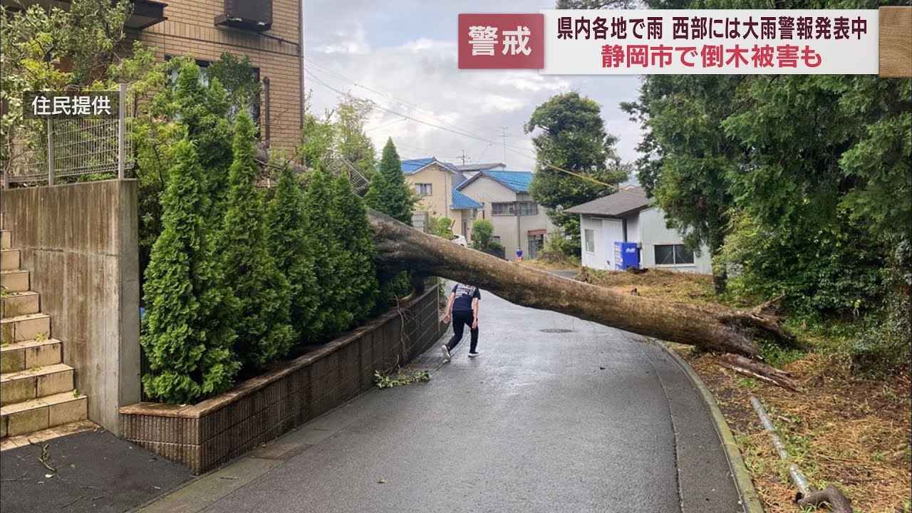 画像: 静岡県内各地で大雨 倒木でマンションの窓が割れる被害も…竜巻などの激しい突風や土砂災害に注意 youtu.be