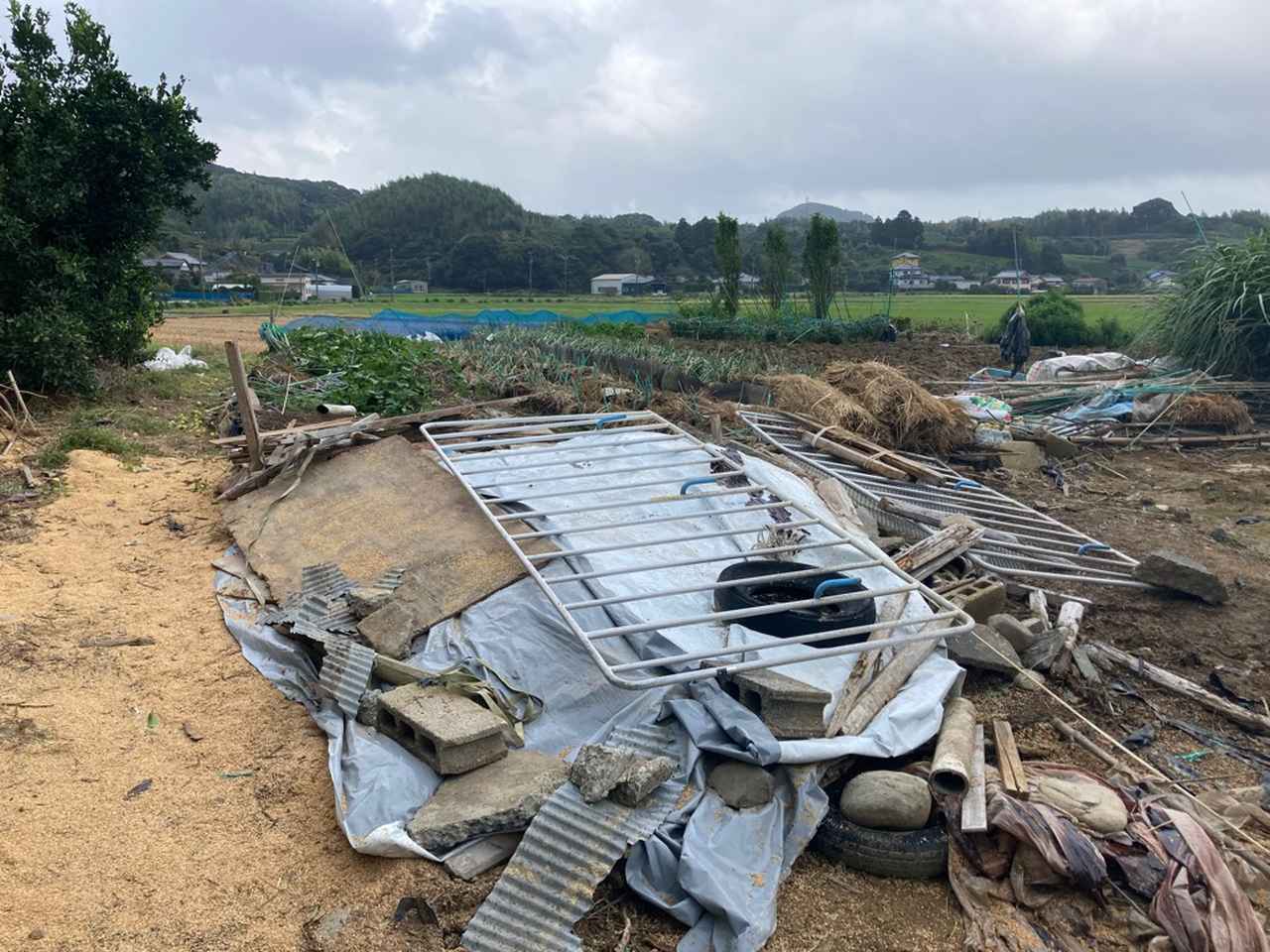 画像1: 静岡地方気象台「一部は竜巻と推定」…静岡・牧之原市の突風被害 別の場所は「特定に至らず」 突風は2カ所で発生
