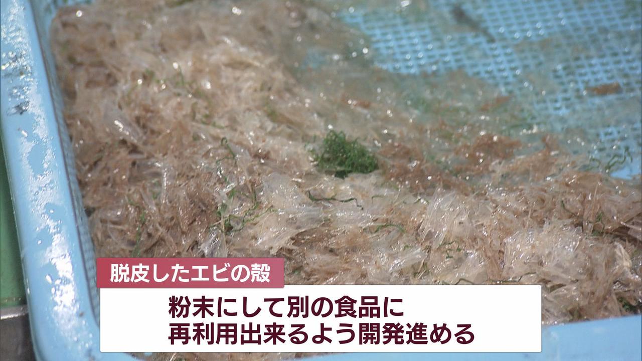 画像: 初出荷は10月予定