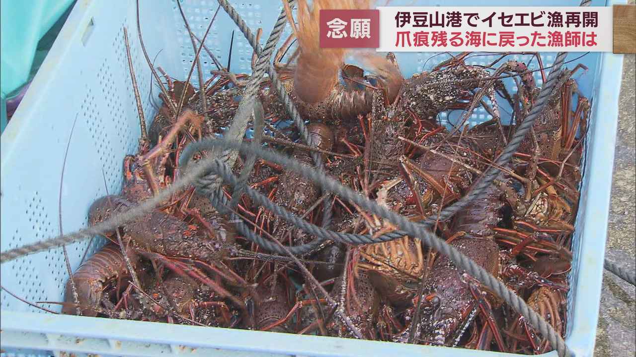 画像2: 土石流災害から1年3カ月伊勢エビ漁再開するもいまだに影響が 静岡・熱海市伊豆山港