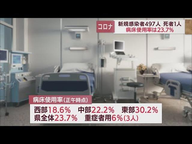 画像: 【新型コロナ/10月3日】静岡県497人感染 死者1人 前週を252人下回る youtu.be