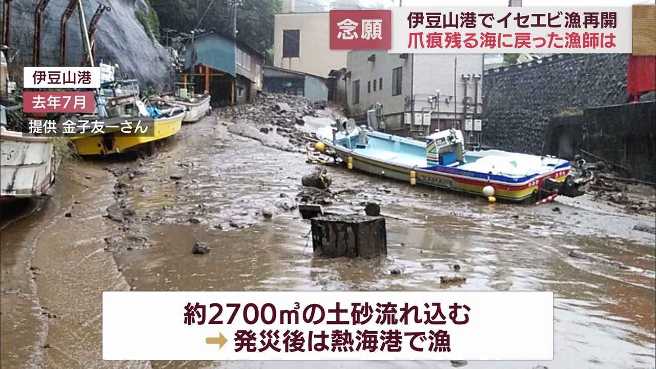 画像1: 土石流災害から1年3カ月伊勢エビ漁再開するもいまだに影響が 静岡・熱海市伊豆山港