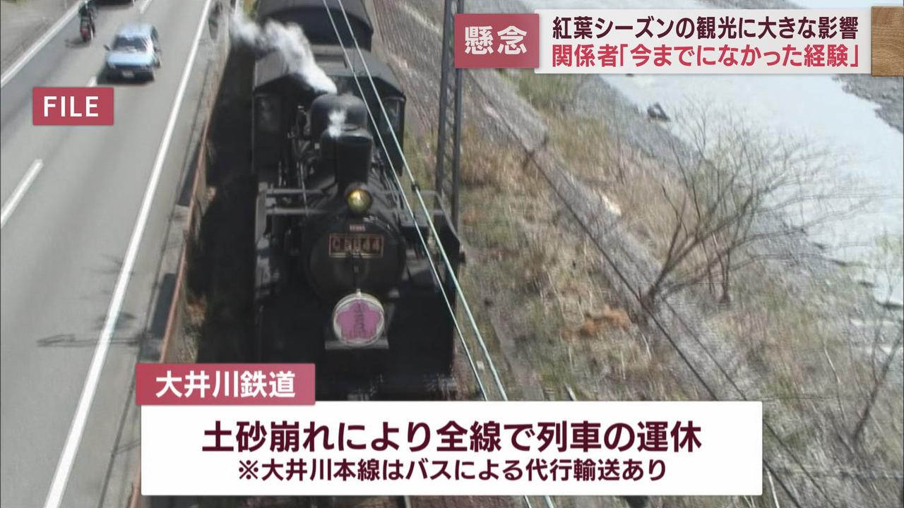 画像1: 「大井川鉄道」と「夢のつり橋」の２本柱が