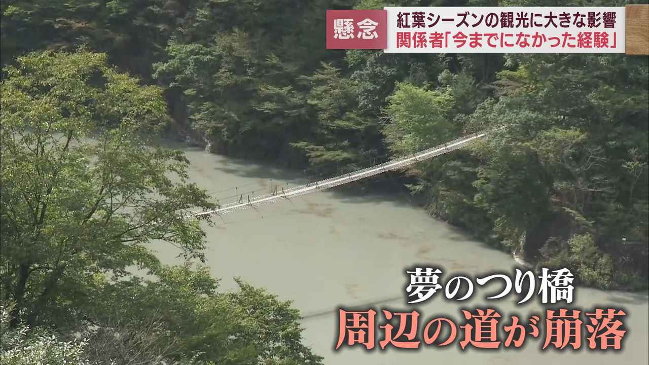 画像2: 「大井川鉄道」と「夢のつり橋」の２本柱が