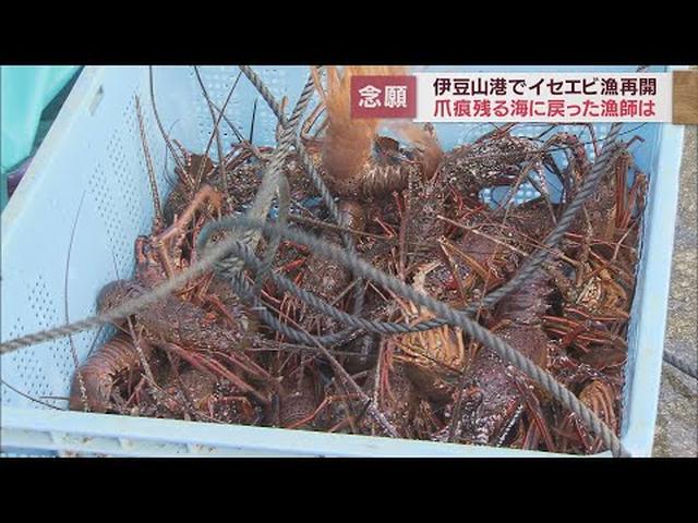 画像: 土石流災害から1年3カ月伊勢エビ漁再開するもいまだに影響が 静岡・熱海市伊豆山港 youtu.be