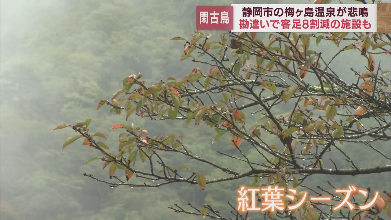 画像2: 原因は『勘違い』?…営業再開しても客足戻らず、8割減の日も 「ぜひ梅ヶ島温泉で紅葉を楽しんで」 静岡市