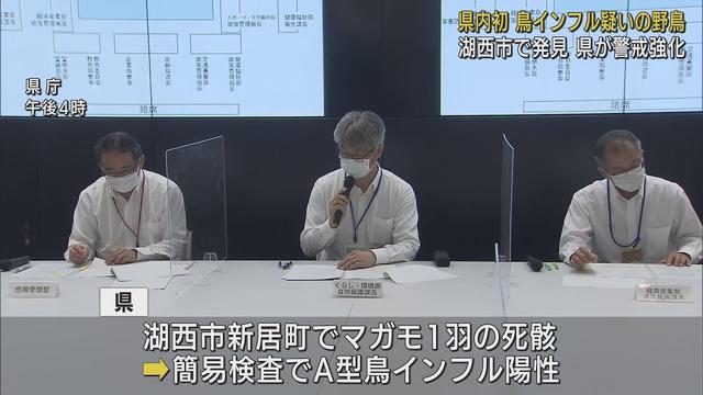 画像: 静岡県では初めての確認…鳥インフルエンザ感染の疑いがある野鳥 周辺10キロ圏内を「野鳥監視重点区域」に指定 静岡・湖西市 youtu.be