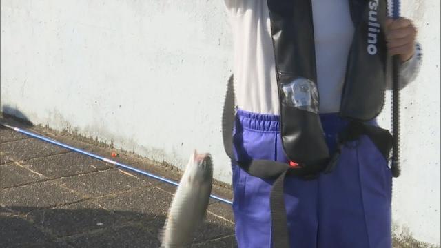 画像: プールに200匹のニジマス 子どもたちが釣りに挑戦「大きいのが釣れてうれしかった」 浜松市 youtu.be