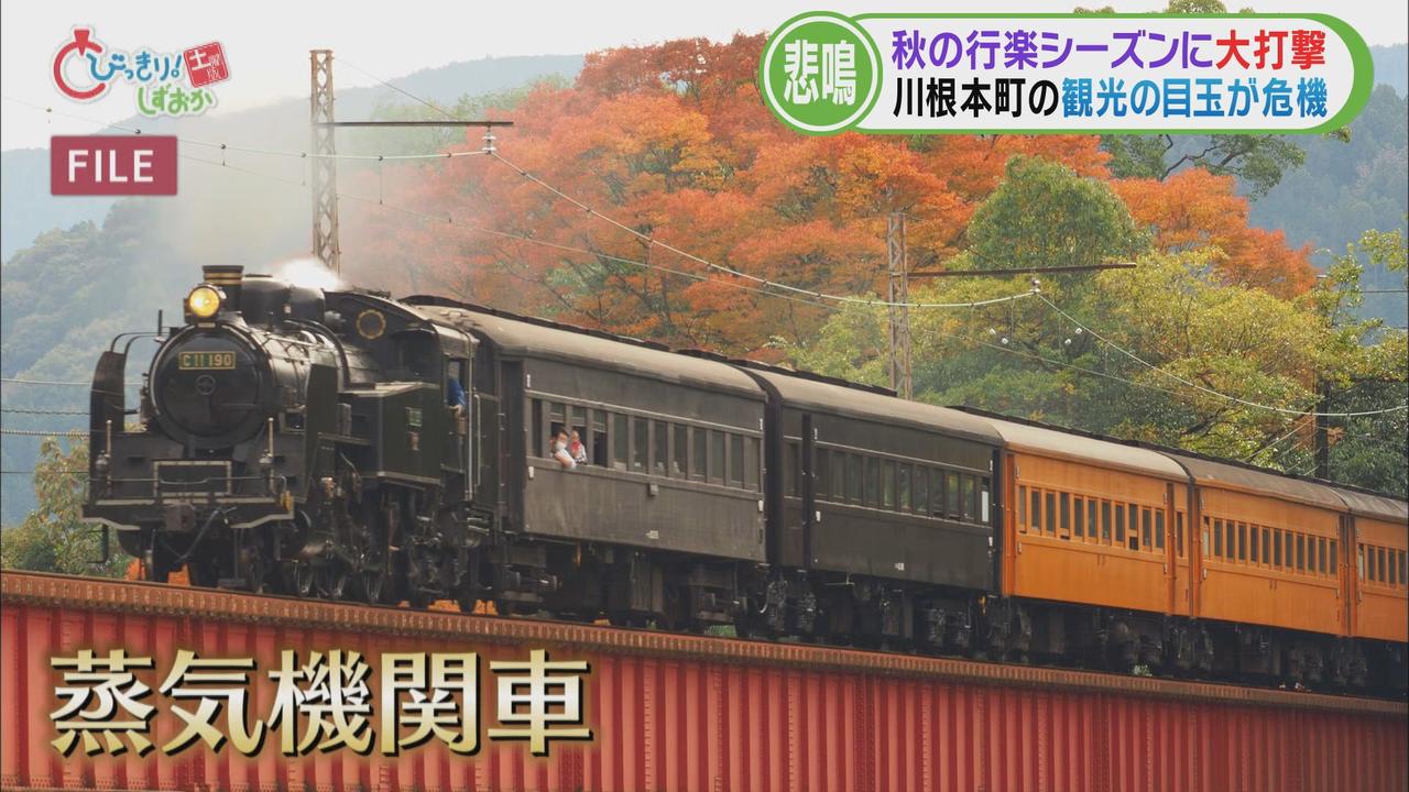 画像2: 人気のSLが…大井川鉄道の線路に大量の土砂