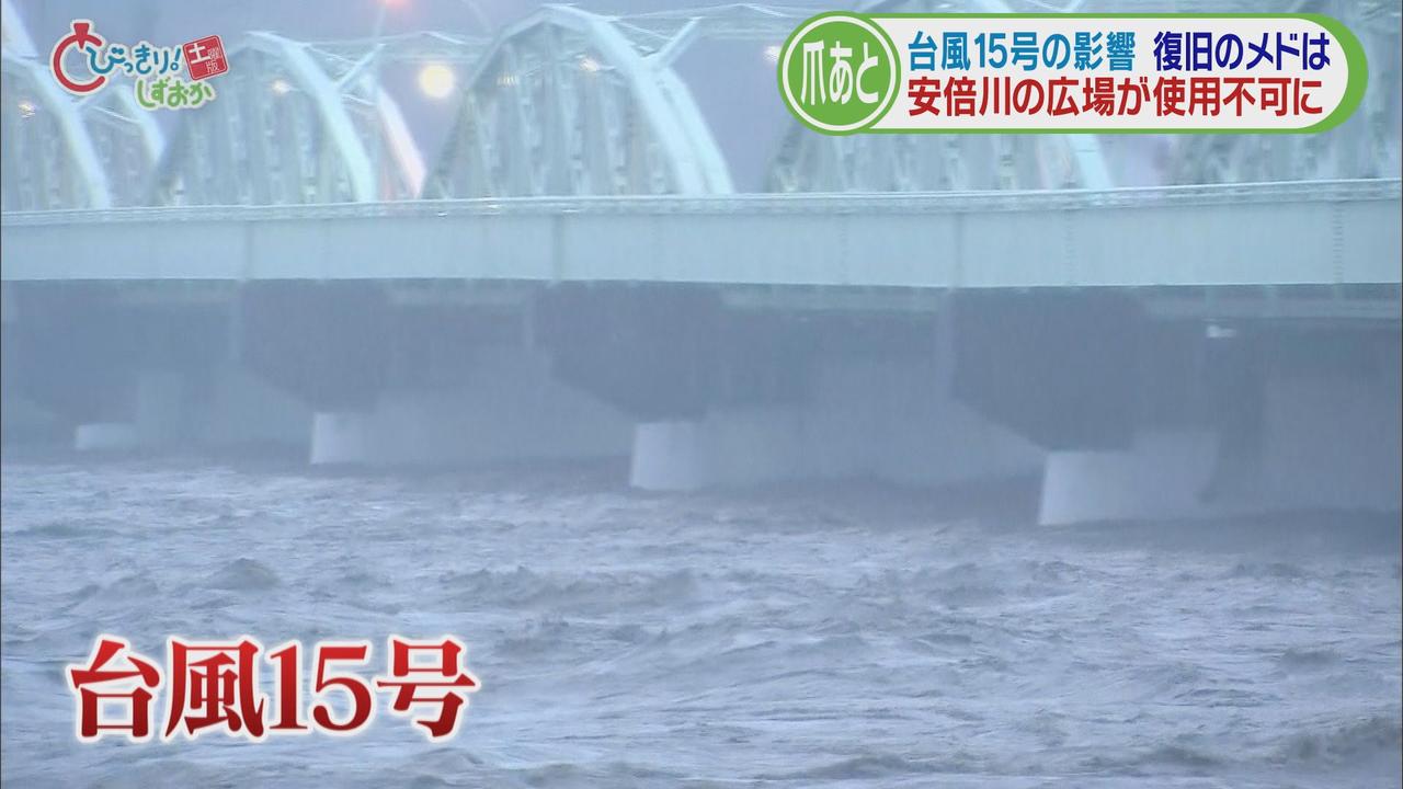 画像: 江戸時代から受け継がれてきたワサビ田は復旧のメド立たず 河川敷グラウンドは使えず…いまだ残る台風15号の爪痕 静岡市