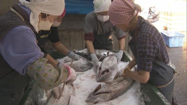 画像: 季節の風物詩 潮カツオ作り始まる 静岡・西伊豆町 youtu.be