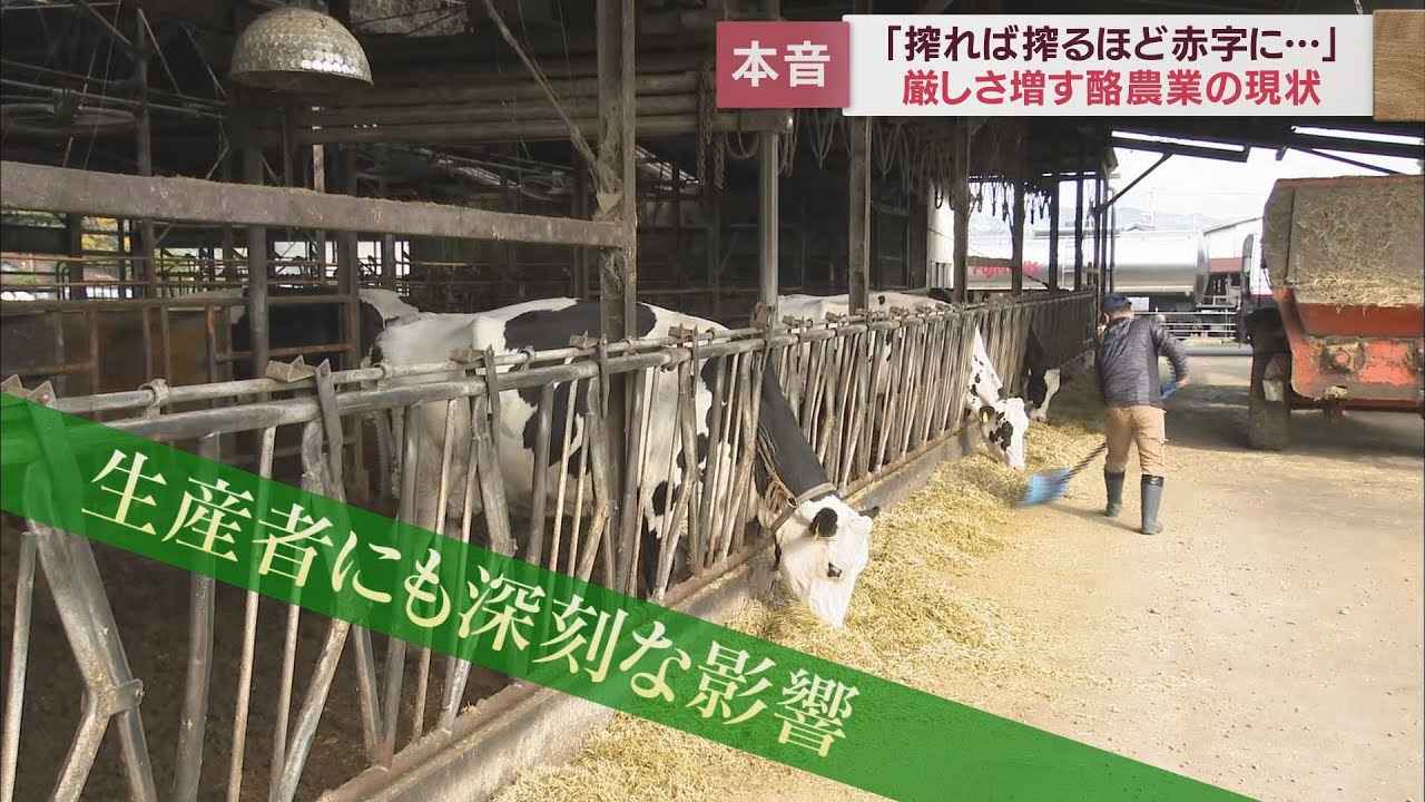 画像: 牛乳値上げ~消費者の事情と酪農家の苦悩 youtu.be