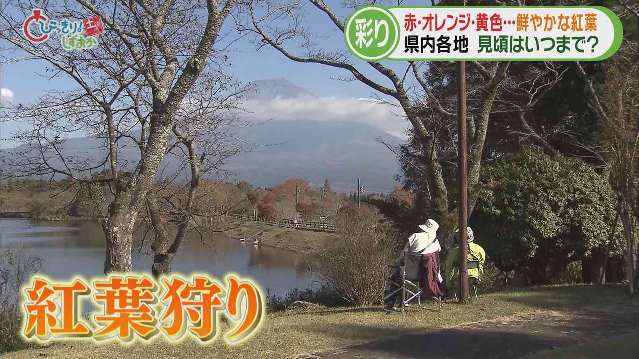 画像: 富士宮市「田貫湖」 富士山と紅葉の共演
