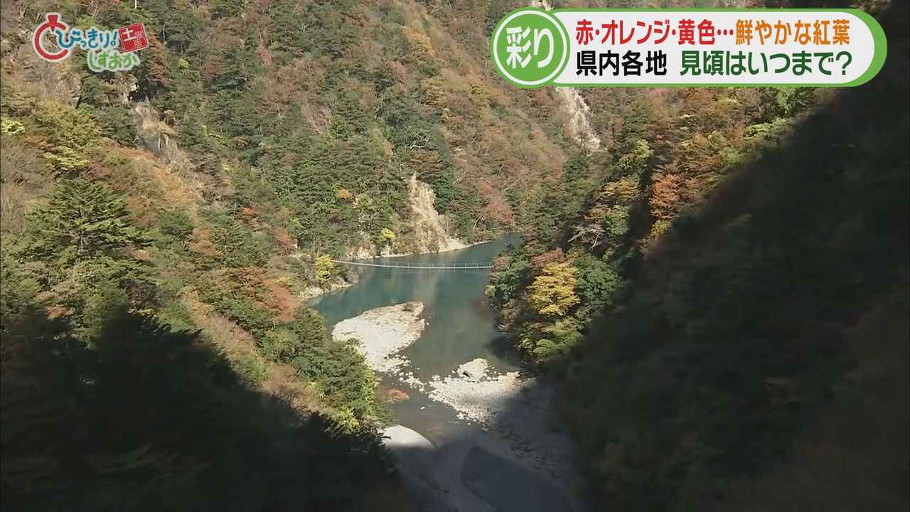 画像: 台風被害の爪痕も…川根本町寸又峡 湖面とのコントラストが鮮やか