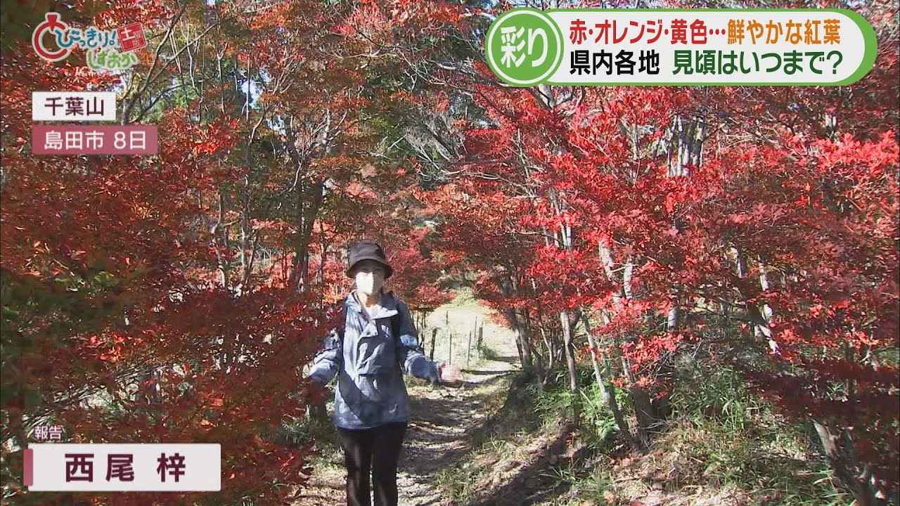 画像: 「絵の具を塗った感じ、すごくきれい」 富士山と紅葉が共演する湖 空から各地の映像も…静岡県紅葉スケッチ youtu.be