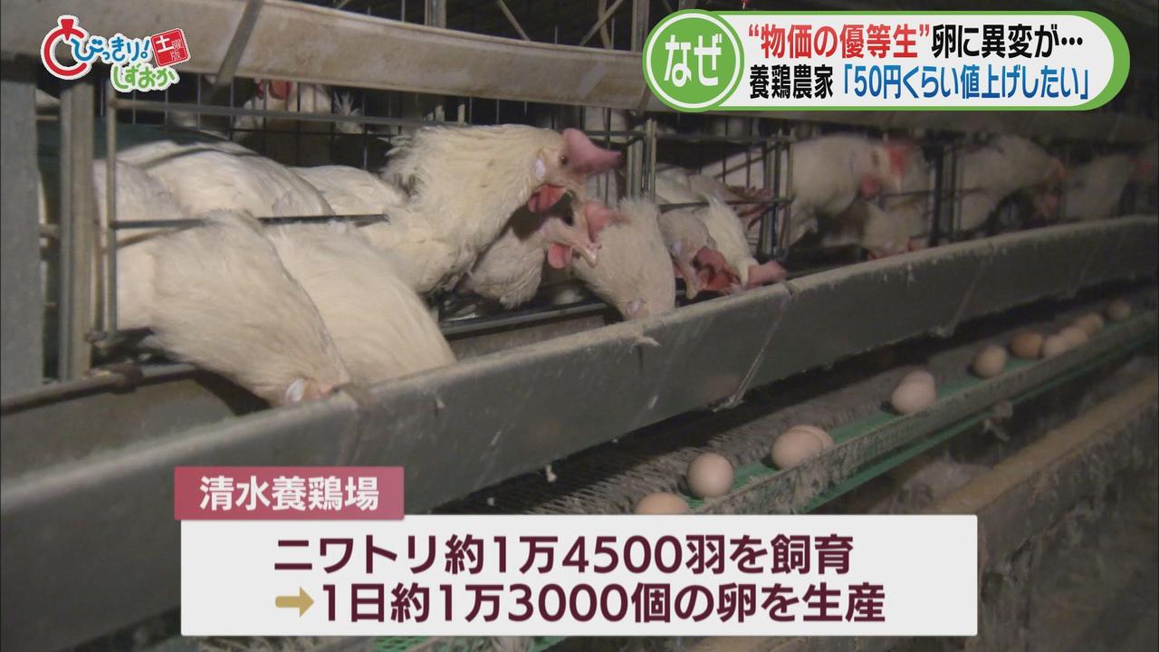 画像: 養鶏場　エサのトウモロコシが２倍に