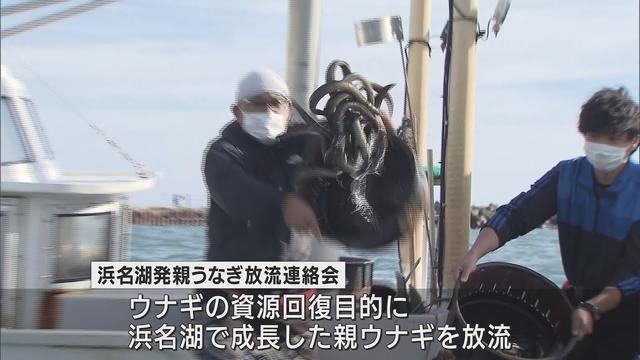 画像: 資源回復を目指してウナギの放流　浜松市・遠州灘 youtu.be