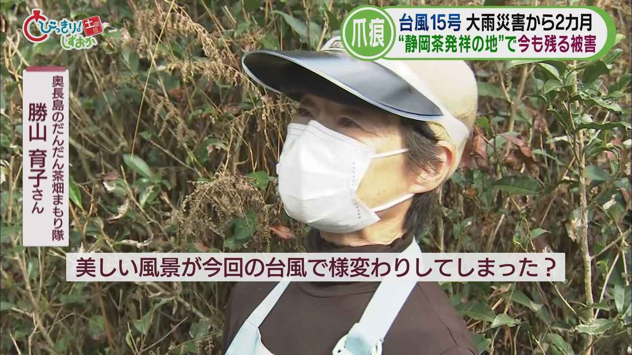 画像4: 「奥長島のだんだん茶畑」