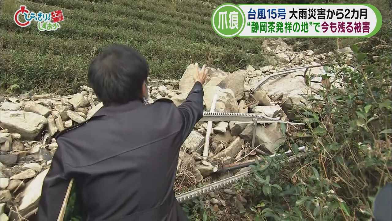 画像3: 「奥長島のだんだん茶畑」