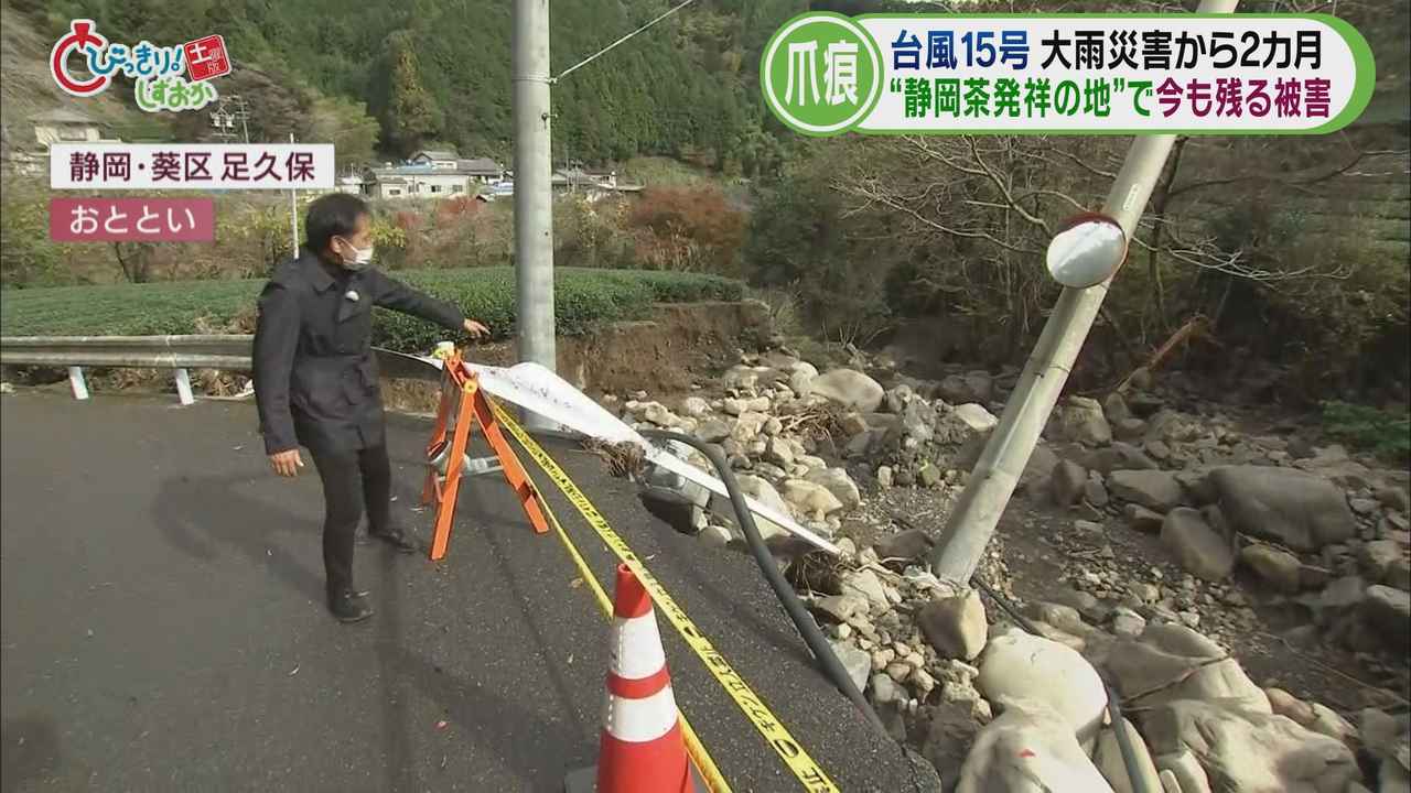 画像1: 【台風15号】「奥長島のだんだん茶畑」に残る爪痕…10年間保全活動していた女性「かわいそうで…」　静岡市