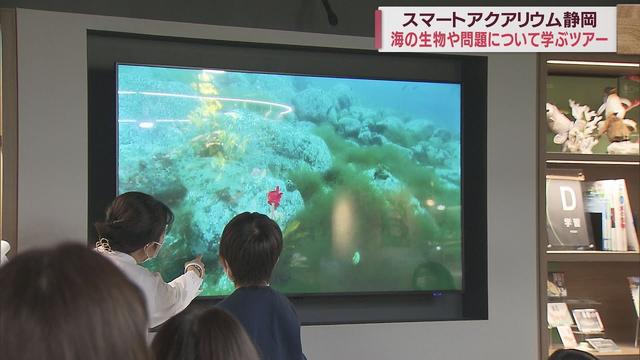 画像: 「海を学ぶ体験ツアー」…プラスチックごみなど海洋問題も学ぶ 静岡市 youtu.be