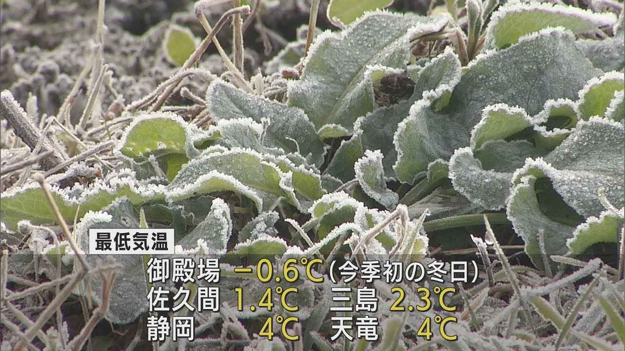 画像: 静岡県内も冷え込む 静岡市で初霜 御殿場では今シーズン初の冬日 youtu.be