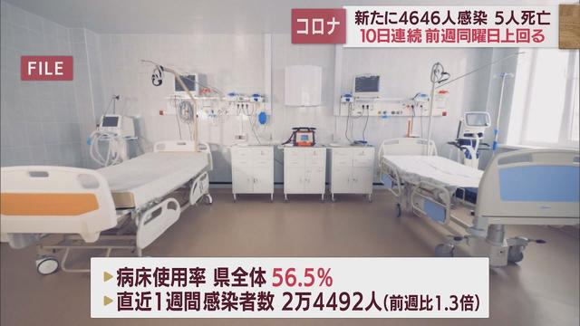 画像: 静岡県5人死亡、4646人感染…10日連続で前週上回る 病床使用率56.5% 【新型コロナ/12月15日】 youtu.be