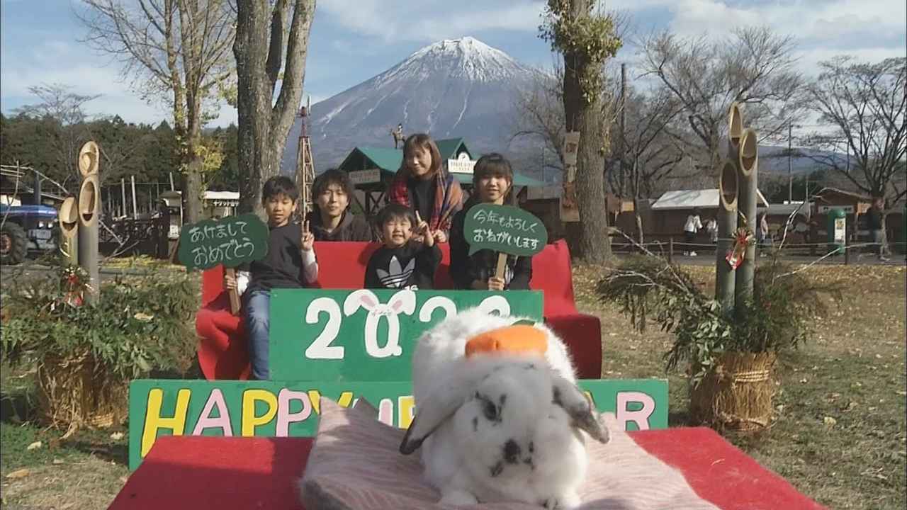 画像: 「鏡餅」みたいな7歳の女の子「つぶちゃん」と一緒に…ウサギと一緒に撮影会 静岡・富士宮市 まかいの牧場