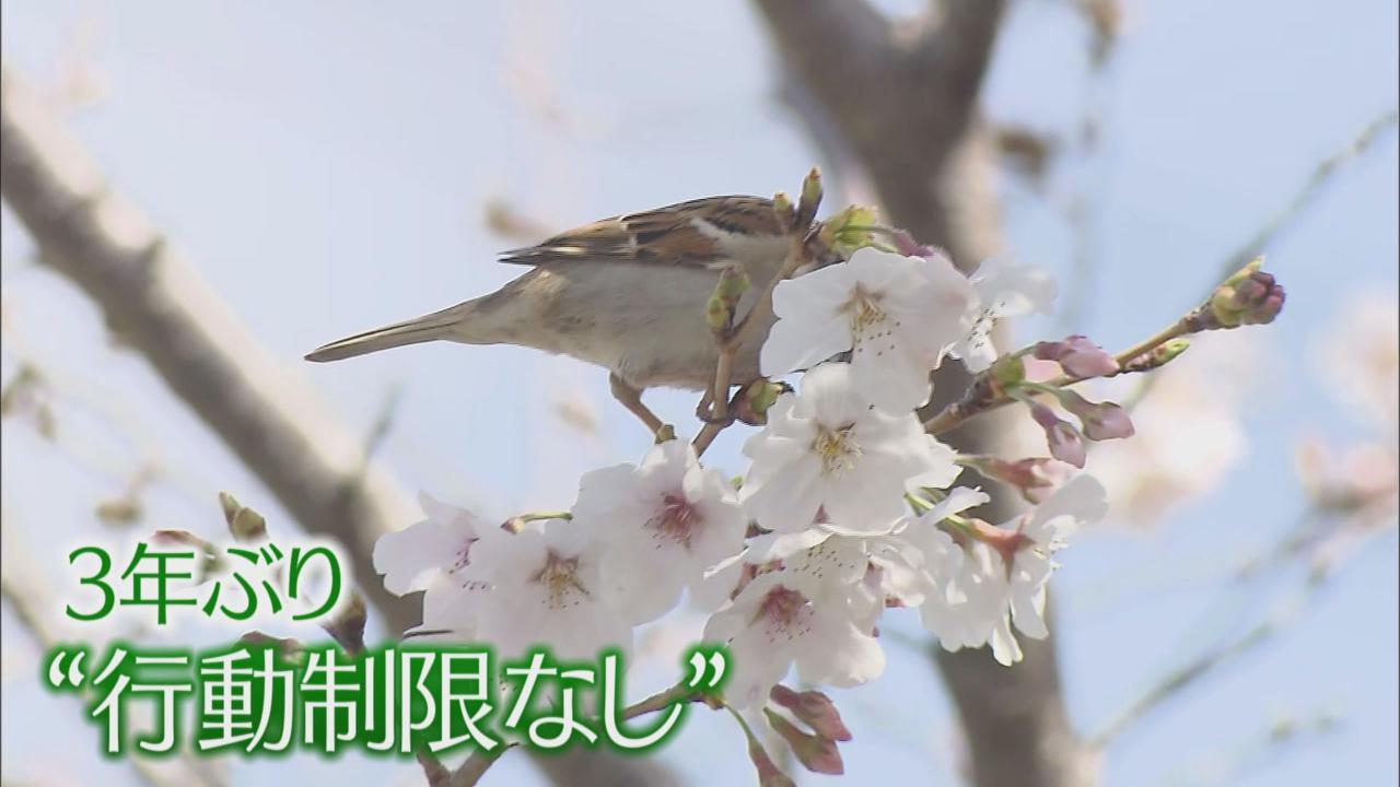 画像: 3年ぶり「行動制限なし」…静岡まつり、浜松まつり、ホビーショー 「首を長くして待っていた」 【重大ニュース静岡2022】