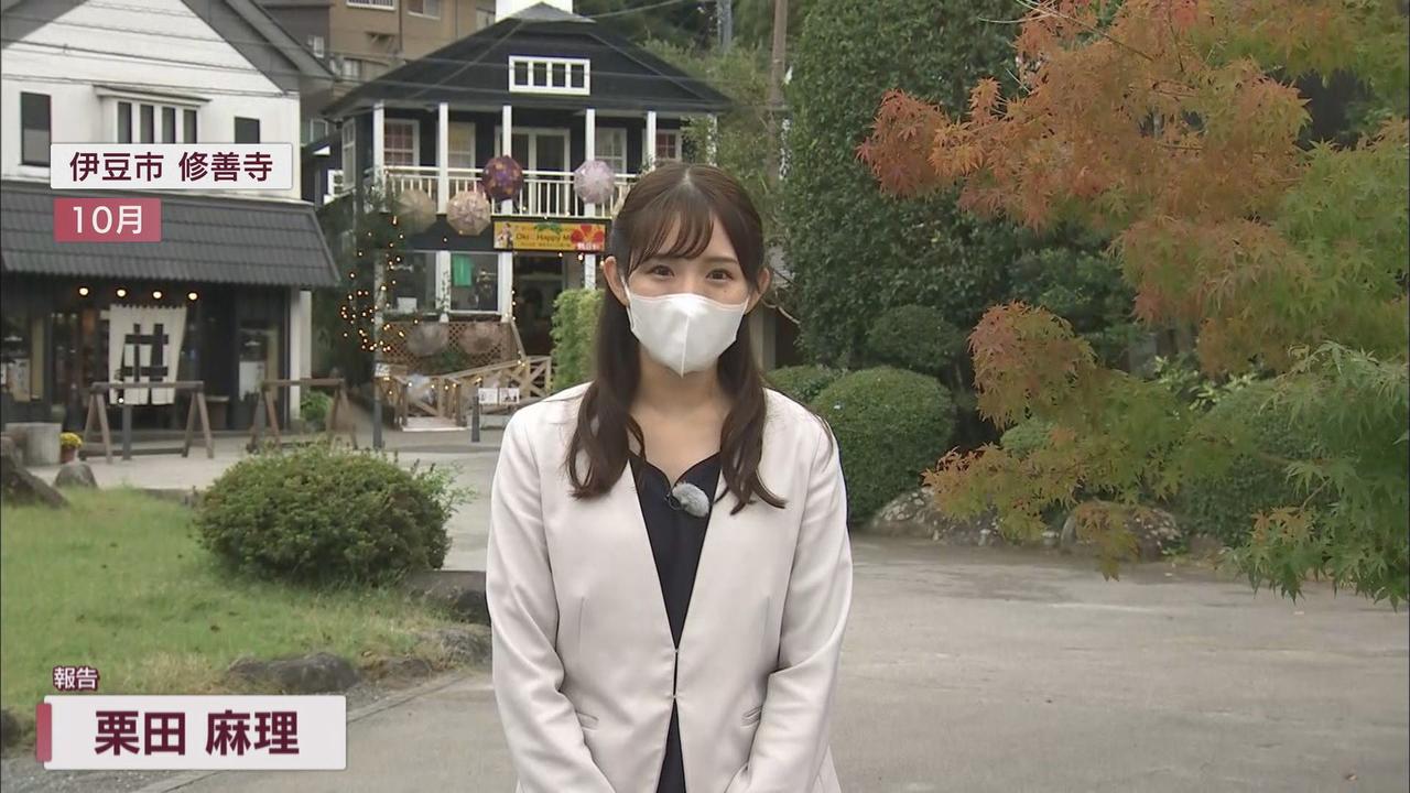 画像1: 旅行費用が最大8000円割引き