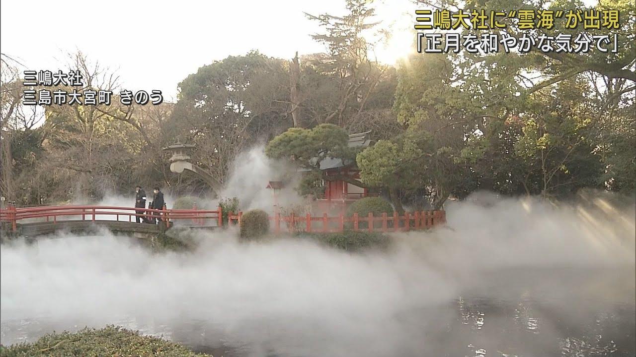 画像: 三嶋大社の池に雲海…実は 参拝客「一瞬本物かと思った。とてもきれい」 静岡・三島市 youtu.be